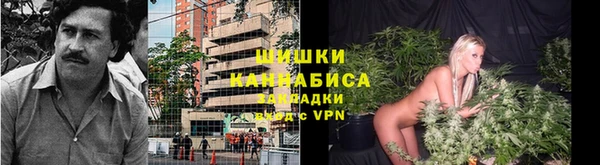 бошки Нефтегорск
